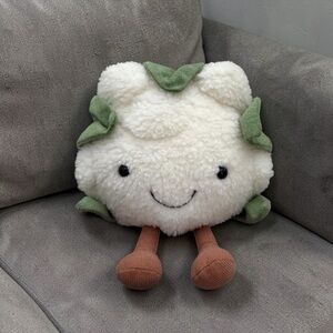 🤍𝐀𝐔𝐓𝐇𝐄𝐍𝐓𝐈𝐂 𝐉𝐞𝐥𝐥𝐲𝐜𝐚𝐭 𝐀𝐦𝐮𝐞𝐬𝐚𝐛𝐥𝐞𝐬 𝐂𝐚𝐮𝐥𝐢𝐟𝐥𝐨𝐰𝐞𝐫🤍